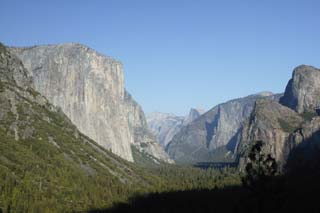 foto,tela,gratis,paisaje,fotografía,idea,Vóleibol de Yosemite, Árbol, Granito, Bosque, Piedra