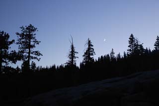 foto,tela,gratis,paisaje,fotografía,idea,La luna en woods en la tarde, De noche, La luna, Bosque, Estrella