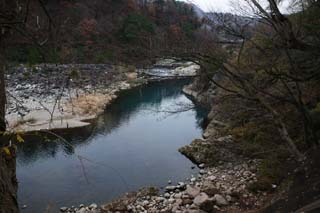 foto,tela,gratis,paisaje,fotografía,idea,Forma un charco en el país, Río, Piedra, Árbol, Agua honda