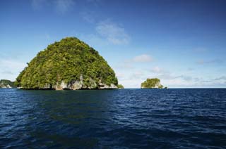 foto,tela,gratis,paisaje,fotografía,idea,Una isla apartada de un país del sur, Isla, Coral, , Bosque