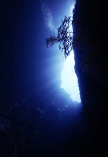 foto,tela,gratis,paisaje,fotografía,idea,Entre en una cueva submarina, Cueva, Burbuja, Color azul, En el mar