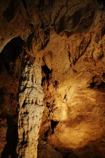 foto,tela,gratis,paisaje,fotografía,idea,Cueva de estalactita de isla de jima de - de Ishigaki, Cueva de estalactita, Estalactita, Piedra caliza, Cueva