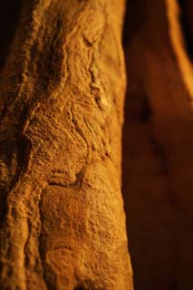 foto,tela,gratis,paisaje,fotografía,idea,Cueva de estalactita de isla de jima de - de Ishigaki, Cueva de estalactita, Estalactita, Piedra caliza, Cueva