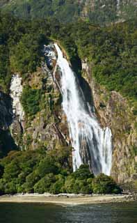 foto,tela,gratis,paisaje,fotografía,idea,Milford Sound, , , , 