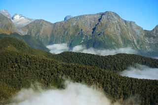 foto,tela,gratis,paisaje,fotografía,idea,Milford Sound, , , , 