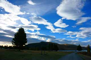 foto,tela,gratis,paisaje,fotografía,idea,Tekapo, , , , 