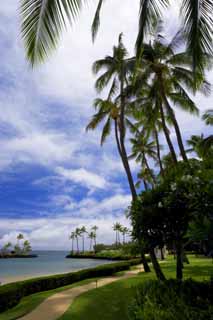 foto,tela,gratis,paisaje,fotografía,idea,Un centro vacacional hawaiano, Playa, Playa arenosa, Cielo azul, Lasi