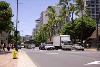 foto,tela,gratis,paisaje,fotografía,idea,De acuerdo con Waikiki, Cocotero, Autobús, Camión, Edificio