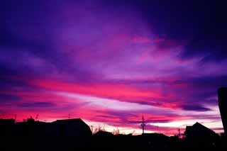 foto,tela,gratis,paisaje,fotografía,idea,Una nube de planta más loca, Nube de Akane, Nube de planta más loca, Nubes rosado - rosado, Silueta