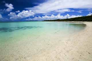 foto,tela,gratis,paisaje,fotografía,idea,Una playa provinciana del sur, Playa arenosa, Cielo azul, Playa, Nube