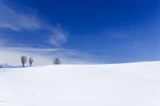 foto,tela,gratis,paisaje,fotografía,idea,Un campo cubierto de nieve, Campo cubierto de nieve, Montaña, Árbol, Cielo azul