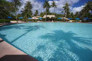 foto,tela,gratis,paisaje,fotografía,idea,Un equipo de playa de centro vacacional, Isla de sur, Centro vacacional, Piscina, Sombrilla