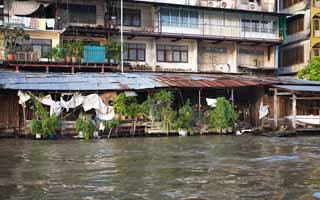 foto,tela,gratis,paisaje,fotografía,idea,El banco de un río de Chao Phraya , Casa desolada, Edificio, Circulación, El Menam