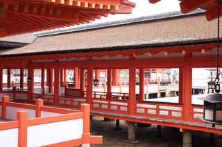 foto,tela,gratis,paisaje,fotografía,idea,Un corredor de Itsukushima - Shrine de jinja, La herencia cultural de mundo, Otorii, Santuario sintoísta, Soy el rojo de cinnabar