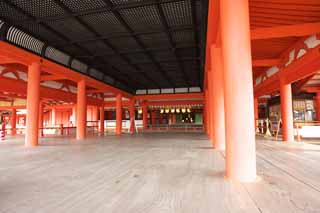 foto,tela,gratis,paisaje,fotografía,idea,Un santuario principal de Itsukushima - Shrine de jinja, La herencia cultural de mundo, Santuario principal, Santuario sintoísta, Soy el rojo de cinnabar