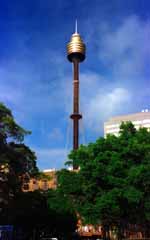 foto,tela,gratis,paisaje,fotografía,idea,Torre de Sydney, Cielo azul, Torre, Árbol, 