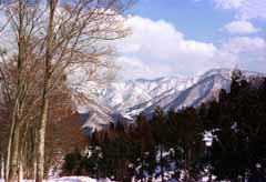 foto,tela,gratis,paisaje,fotografía,idea,Montaña nevada por la tarde., Nieve, Montaña, Árbol, 