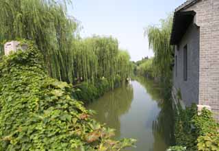 foto,tela,gratis,paisaje,fotografía,idea,Un canal de Suzhou, Sauce, Canal, Orilla, Agua