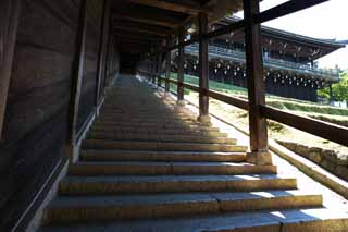 foto,tela,gratis,paisaje,fotografía,idea,La escalera de piedra de - de Nigatsu hace a Hall, Escalera de piedra, Pilar, Techo, Escaleras