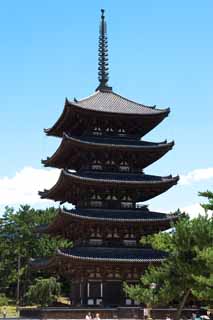 foto,tela,gratis,paisaje,fotografía,idea,Kofuku - ji templo cinco pagoda de Storeyed, Buddhism, Edificio de madera, Cinco pagoda de Storeyed, Herencia de mundo