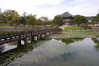 foto,tela,gratis,paisaje,fotografía,idea,Hyangwonjeong de Kyng - bokkung, Edificio de madera, Herencia de mundo, Una glorieta, Puente de Suiko