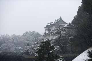 foto,tela,gratis,paisaje,fotografía,idea,Snow Fushimi Derrick, Castillo, Palacio, Orca, Castillo de Edo