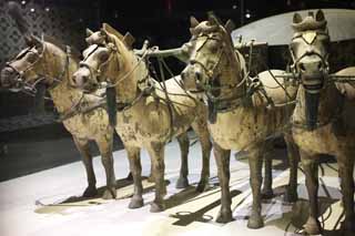 foto,tela,gratis,paisaje,fotografía,idea,Bronce Chariot y Caballos en el Mausoleo del Primer Emperador Qin, Cobre descorrido por caballo, Personas antiguas, Tumba, Herencia de mundo