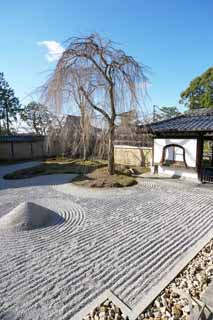 foto,tela,gratis,paisaje,fotografía,idea,Kodaiji Temple vestibular, , Hideyoshi, Mausoleo, Templo de secta de Zen