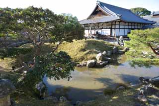 foto,tela,gratis,paisaje,fotografía,idea,Kodaiji Temple Gardens, , , Unidades de luna llenas, 