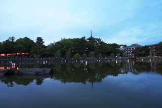 foto,tela,gratis,paisaje,fotografía,idea,Una laguna de Sarusawa, Sauce, Laguna, Parque de Nara - koen, Atracción turística