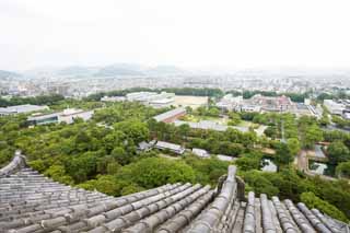 foto,tela,gratis,paisaje,fotografía,idea,El paisaje de Himeji - Castle de jo, Cuatro tesoros nacionales Castle, Sadanori Akamatsu, Shigetaka Kuroda, Hideyoshi Hashiba