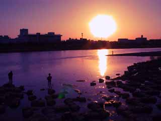 foto,tela,gratis,paisaje,fotografía,idea,Crepúsculo en Tamagawa, Puesta de sol, Río, , 