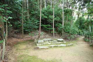 foto,tela,gratis,paisaje,fotografía,idea,Casa de Buddha y enramada de ducha de otoño de Amitabha trazan, Moss, Los fundamentos, Las ruinas, Naipe japonés tradicional