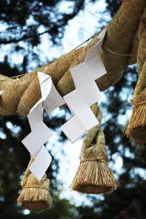 foto,tela,gratis,paisaje,fotografía,idea,Santuario guirnalda de paja sintoísta de Omiwa, Shinto, Guirnalda de paja sintoísta, Recinto, Apéndice de papel