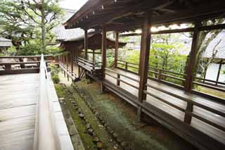 foto,tela,gratis,paisaje,fotografía,idea,Temple Akira de «soul» de Ninna - ji, Viaje, Edificio de madera, Pasamano, Adoración