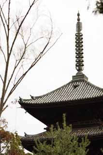 foto,tela,gratis,paisaje,fotografía,idea,Temple cinco Storeyed pagoda de Ninna - ji, Enrejado, Calidades de sánscrito, Chaitya, Herencia de mundo