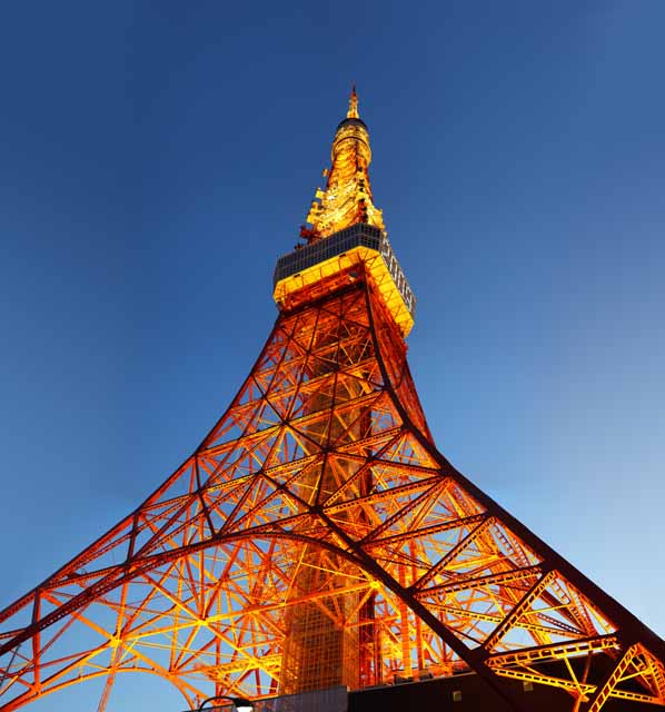 foto,tela,gratis,paisaje,fotografía,idea,Tokyo Tower, Colección torre de ola eléctrica, Lo enciendo, Una antena, Un observatorio