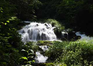 foto,tela,gratis,paisaje,fotografía,idea,¡ojalá!, es una cascada de Ney yes, Espray, Torrente, Espray del agua, Bosque