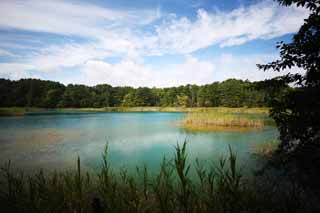 foto,tela,gratis,paisaje,fotografía,idea,Esposa de lago de zen - sacerdote principal, Bosque, Laguna, Color azul azul celeste, Monte. Bandai - san