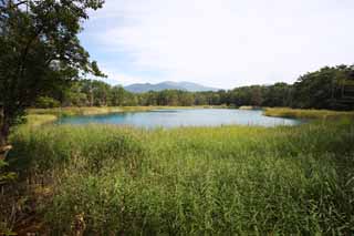 foto,tela,gratis,paisaje,fotografía,idea,Esposa de lago de zen - sacerdote principal, Bosque, Laguna, Color azul azul celeste, Monte. Bandai - san