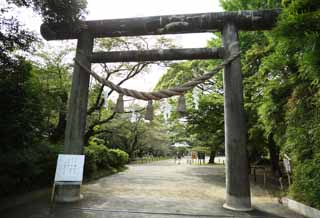 foto,tela,gratis,paisaje,fotografía,idea,Un torii del este del santuario de Tokiwa, Komon Mito, Mitsukuni, Nariaki Tokugawa, Santuario sintoísta