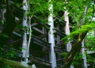 foto,tela,gratis,paisaje,fotografía,idea,Debajo del intenso verde., Kiyomizu templo, Columna, , 