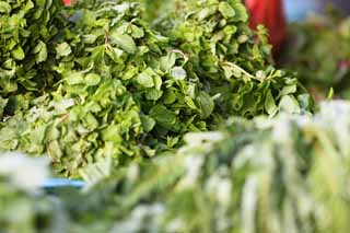 foto,tela,gratis,paisaje,fotografía,idea,Un caramelo de menta, Tienda de verdura, Caramelo de menta, Herb, Verduras