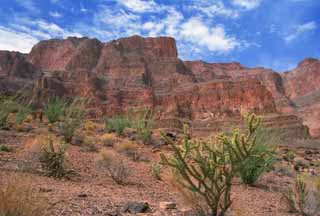 foto,tela,gratis,paisaje,fotografía,idea,Valle y cactus, Despeñadero, Cielo azul, , 