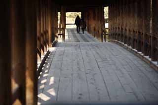 foto,tela,gratis,paisaje,fotografía,idea,Templo de Tofuku - ji resultar en el puente de cielo, Chaitya, Puente, Corredor de puente, 