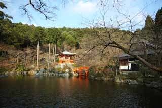 foto,tela,gratis,paisaje,fotografía,idea,Esposa de Temple de Daigo - ji de templo zen - sacerdote principal, Chaitya, Laguna, Sarasvati, Soy pintado de rojo