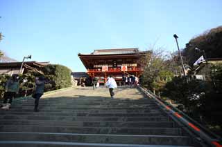 foto,tela,gratis,paisaje,fotografía,idea,Hongu del santuario de Hachiman - gu, , Un santuario superior, Santuario principal, 