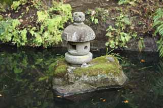 foto,tela,gratis,paisaje,fotografía,idea,Shrine de piedra linterna de Zeniarai - benten, Linterna de piedra, Rana, Esposa de zen - sacerdote principal, Dinero - hacer