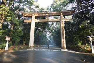 foto,tela,gratis,paisaje,fotografía,idea,Meiji torii del santuario, El Emperador, Santuario sintoísta, Torii, Un enfoque para un santuario