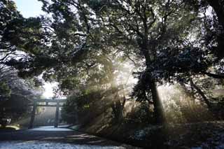 foto,tela,gratis,paisaje,fotografía,idea,La luz del oráculo, Dios de ballena sei, Línea ligera, Luz sagrada, Luminosidad